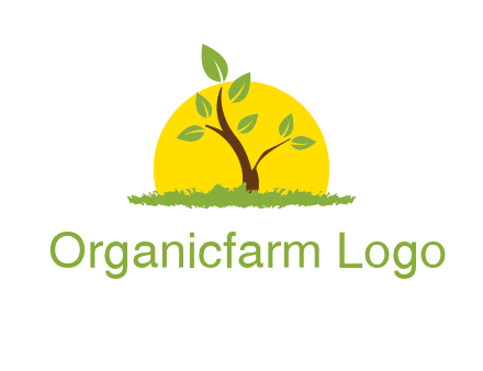 sun and plant farm logo