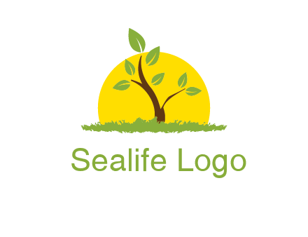 sun and plant farm logo