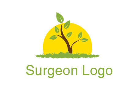 sun and plant farm logo