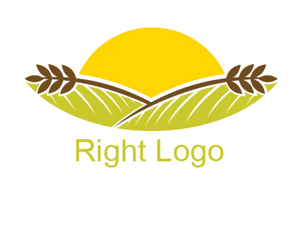sunset over wheat stalks and farm logo