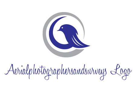 bird in circle with feather animal logo