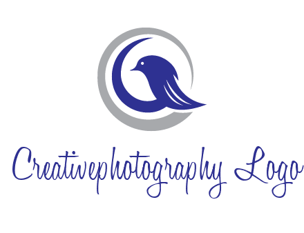 bird in circle with feather animal logo