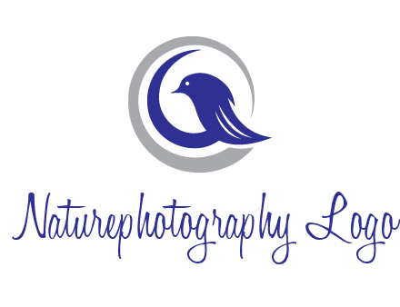 bird in circle with feather animal logo