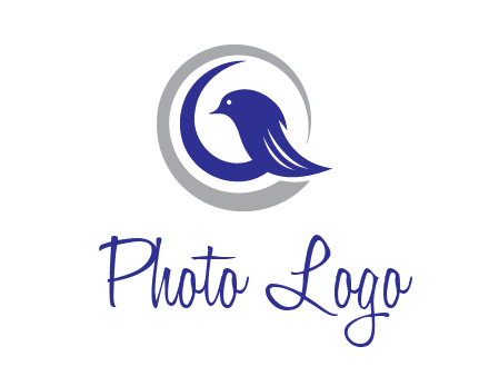 bird in circle with feather animal logo
