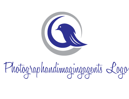 bird in circle with feather animal logo