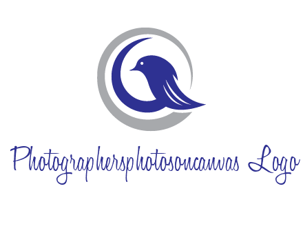 bird in circle with feather animal logo