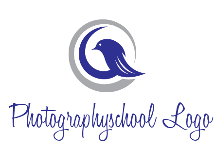 bird in circle with feather animal logo