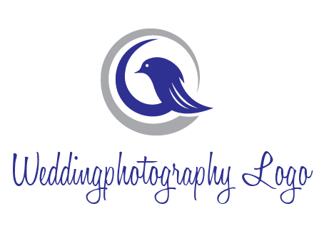 bird in circle with feather animal logo