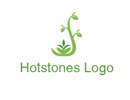 creeper plant branch illustration