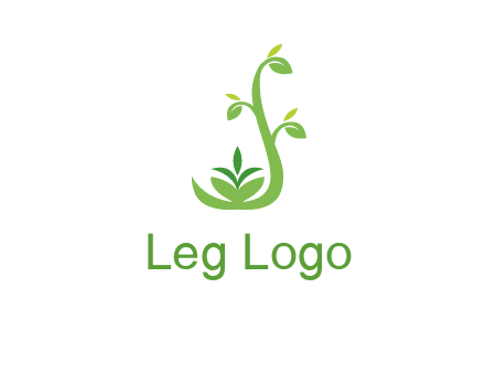 creeper plant branch illustration