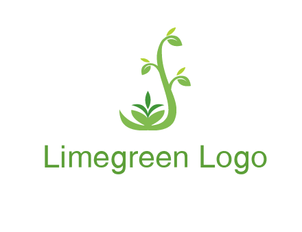 creeper plant branch illustration