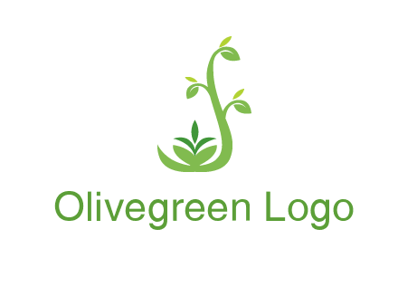 creeper plant branch illustration