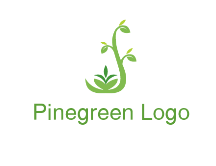 creeper plant branch illustration