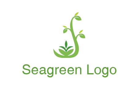 creeper plant branch illustration