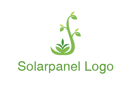 creeper plant branch illustration