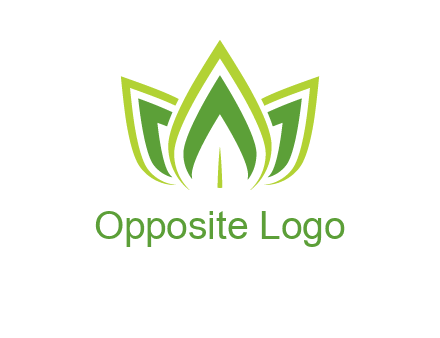 broad pointy leaves logo