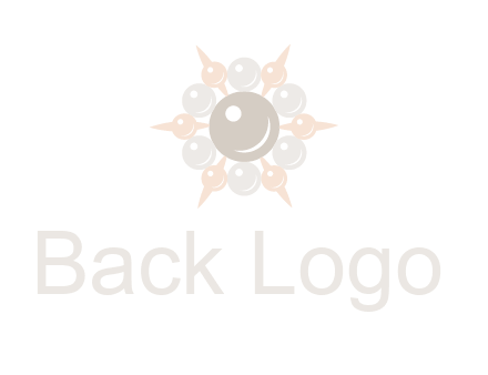 shiny pearl brooch logo