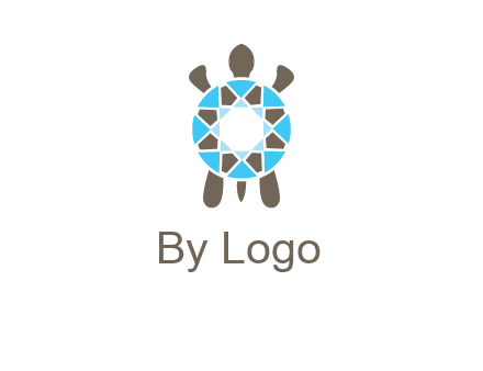 turtle with a diamond shell