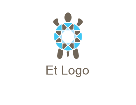 turtle with a diamond shell