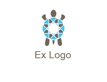 turtle with a diamond shell