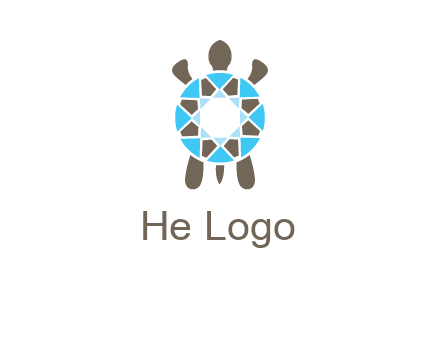 turtle with a diamond shell