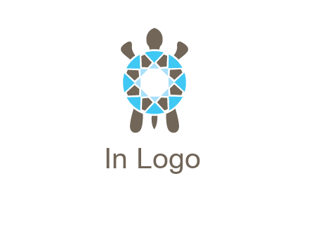 turtle with a diamond shell