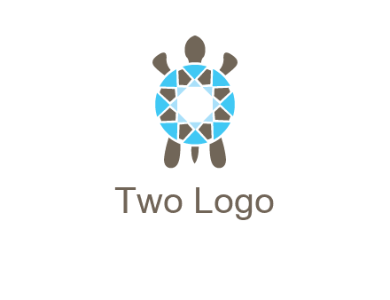 turtle with a diamond shell