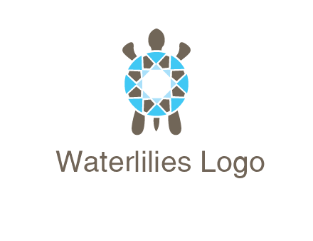 turtle with a diamond shell