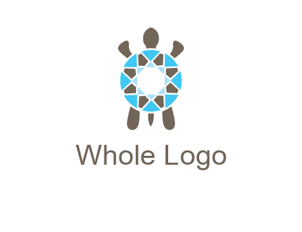turtle with a diamond shell