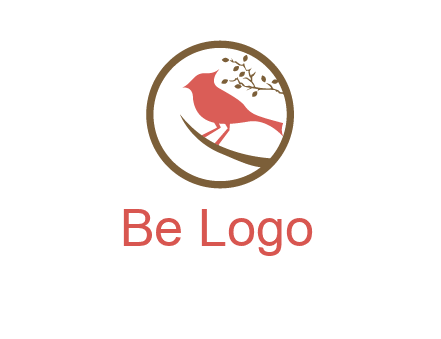 bird on a branch