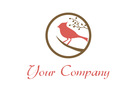 bird on a branch
