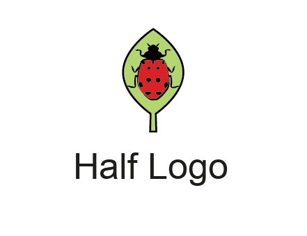 ladybug on leaf logo