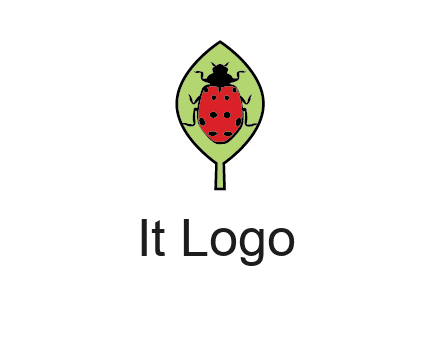 ladybug on leaf logo