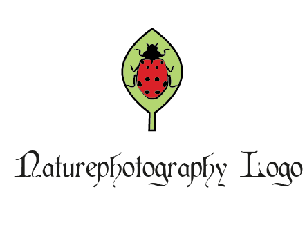 ladybug on leaf logo