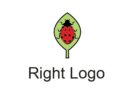 ladybug on leaf logo