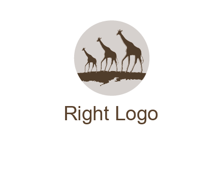 giraffes in circle logo