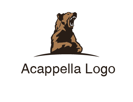 wild bear logo