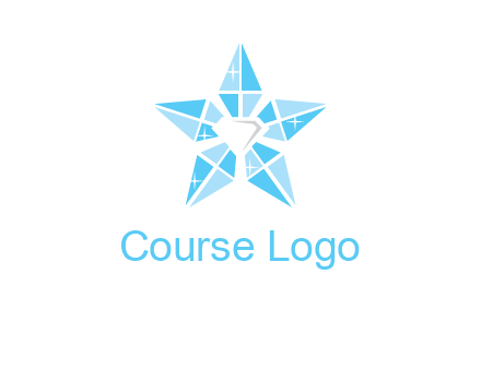 diamond at the center of gemstones forming a star logo