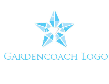 diamond at the center of gemstones forming a star logo