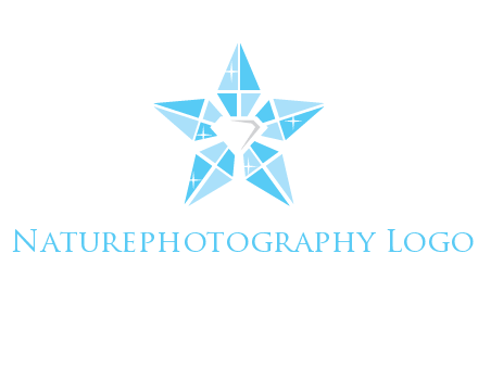 diamond at the center of gemstones forming a star logo