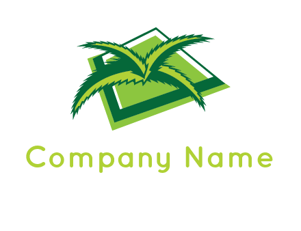 palm leaves logo