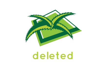 palm leaves logo