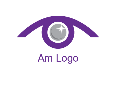 shinning eye logo