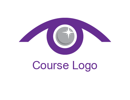 shinning eye logo