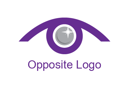 shinning eye logo