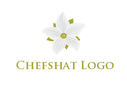 Madonna lily flower logo