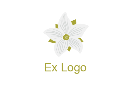 Madonna lily flower logo