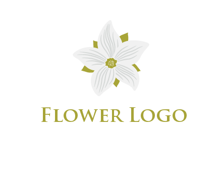 Madonna lily flower logo
