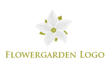 Madonna lily flower logo