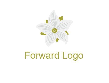 Madonna lily flower logo